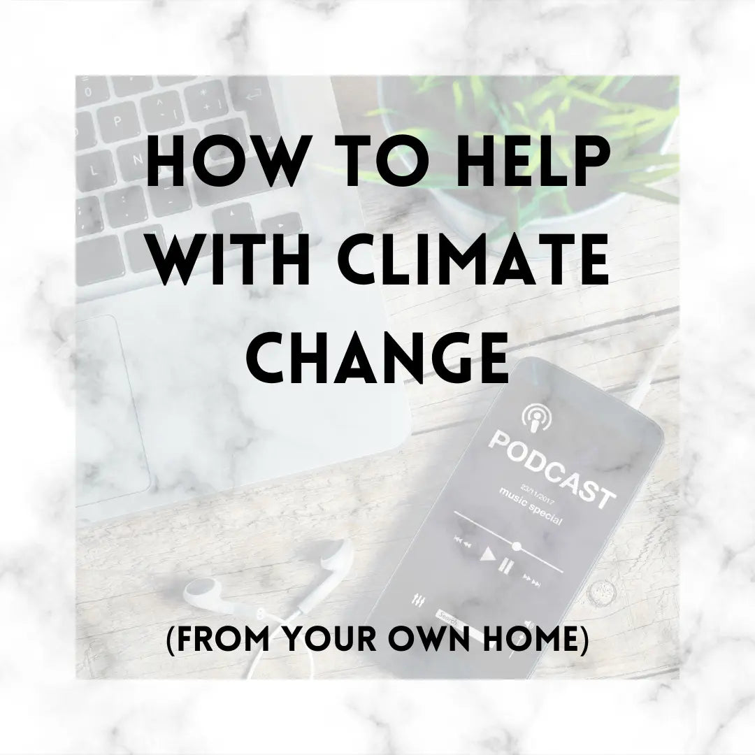 How To Help With Climate Change