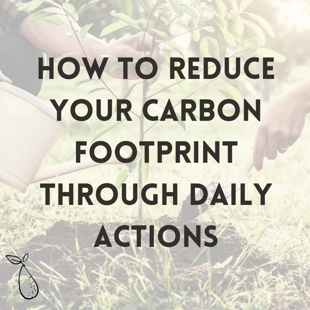 How to reduce your carbon footprint through daily actions