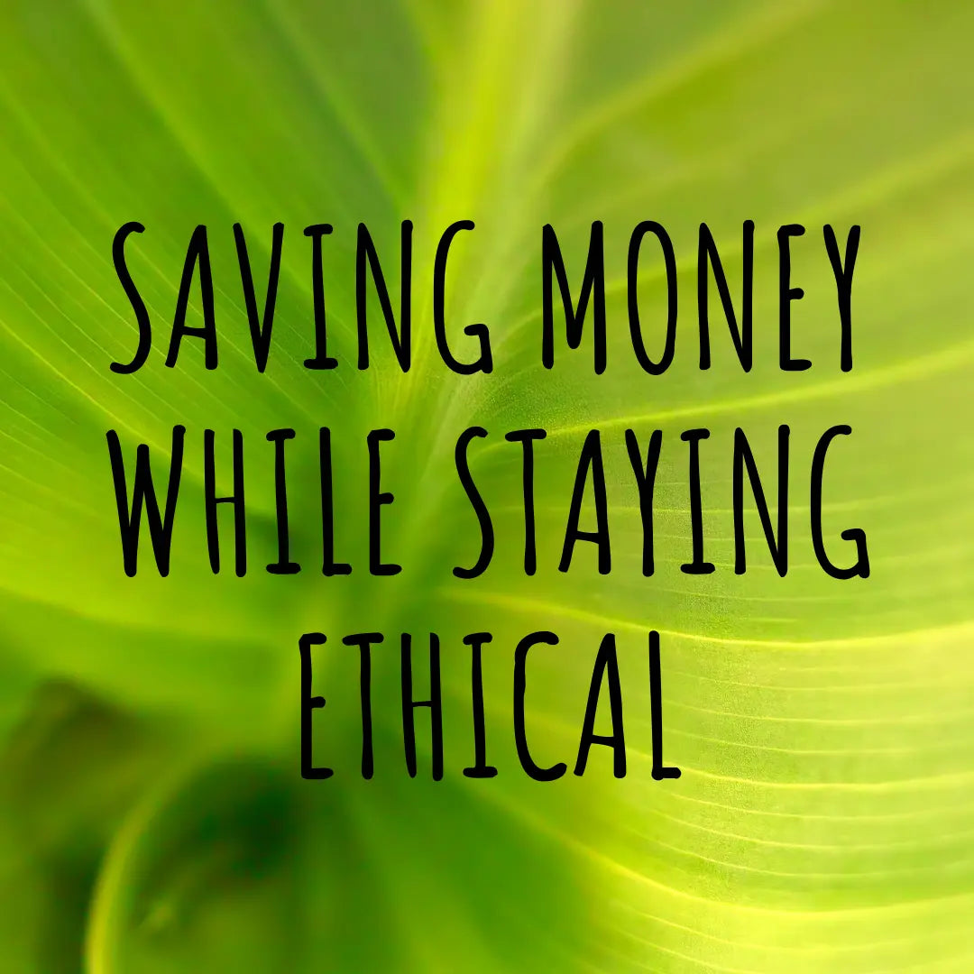 How to save money while staying ethical