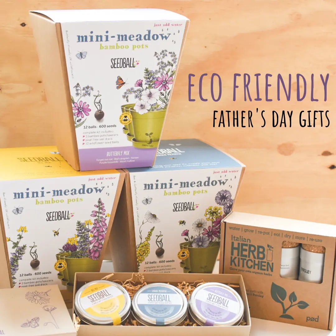 Father's Day - Green Pear Eco