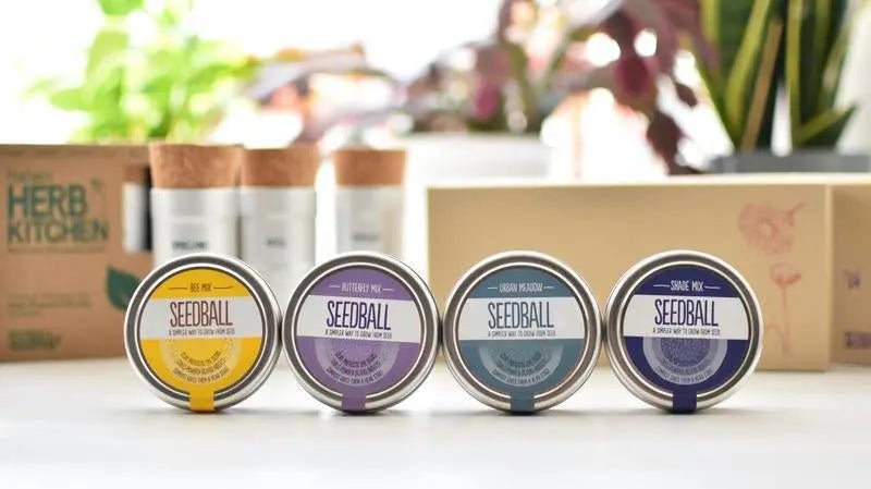 Seedballs - Wildflower Mixes - Green Pear Eco