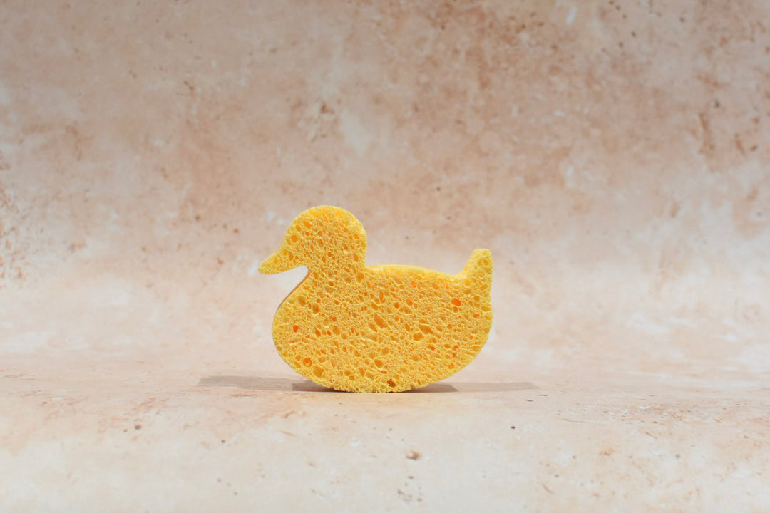 Pear Post Duck Sponge
