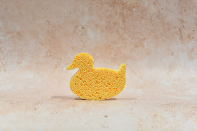 Pear Post Duck Sponge