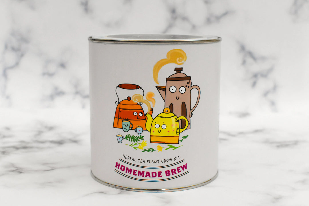 Homemade Brew - Grow Your Own Tea Kit