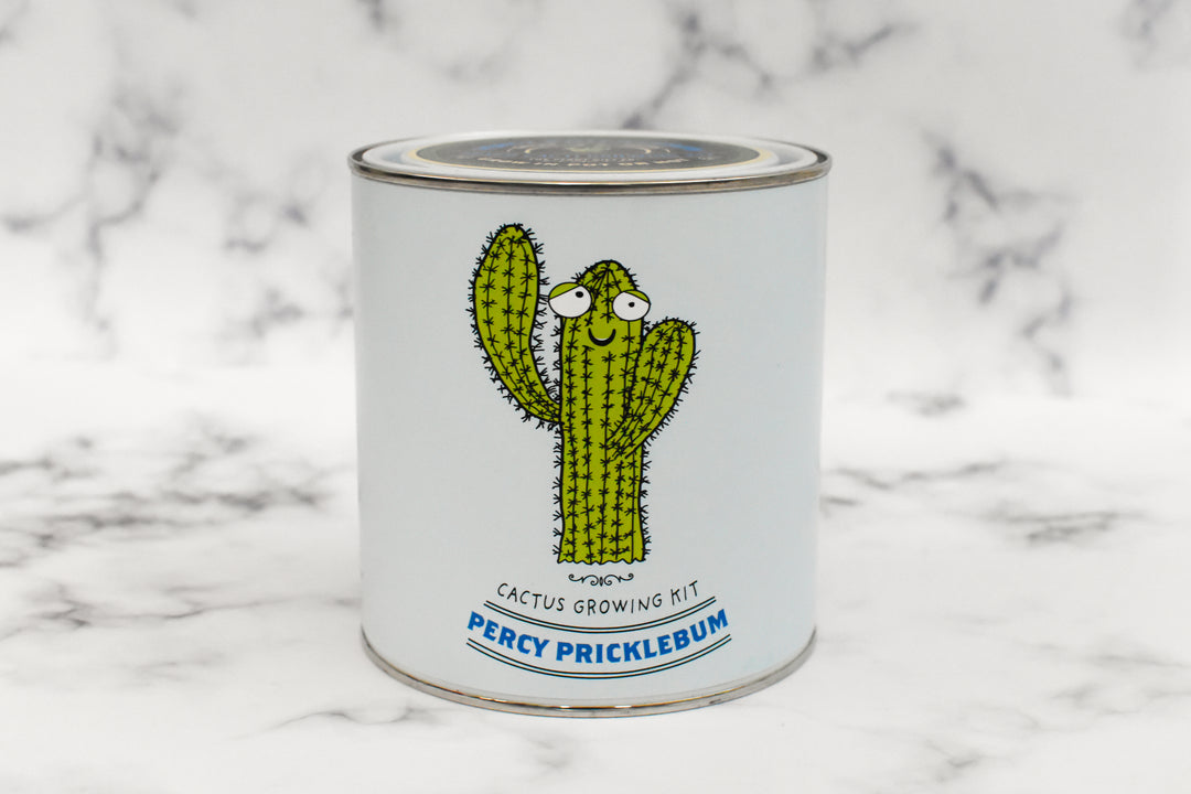 Percy Pricklebum - Grow Your Own Cacti Kit