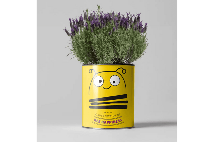 Bee Happiness - Grow Your Own Flower Kit