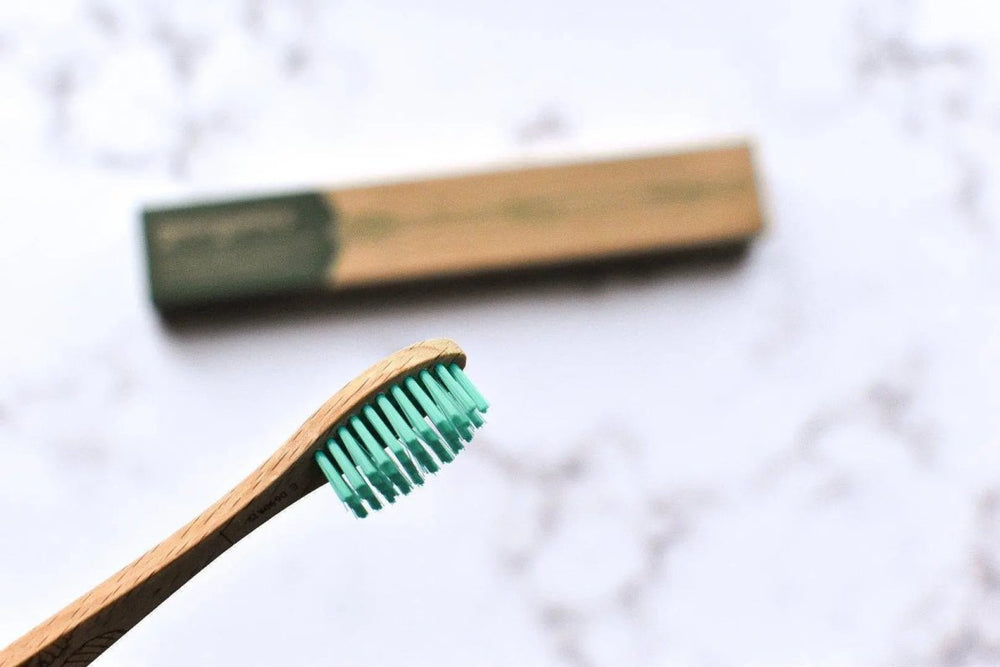 Beechwood Toothbrush