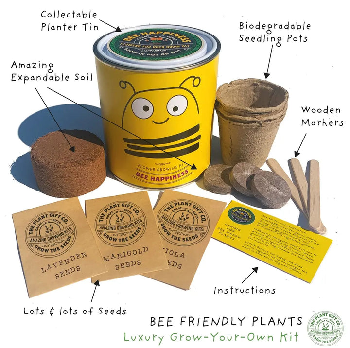 Bee Happiness - Grow Your Own Flower Kit