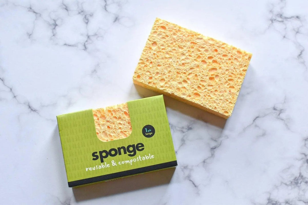 Compostable Sponge