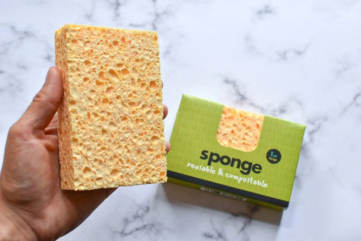 Compostable Sponge