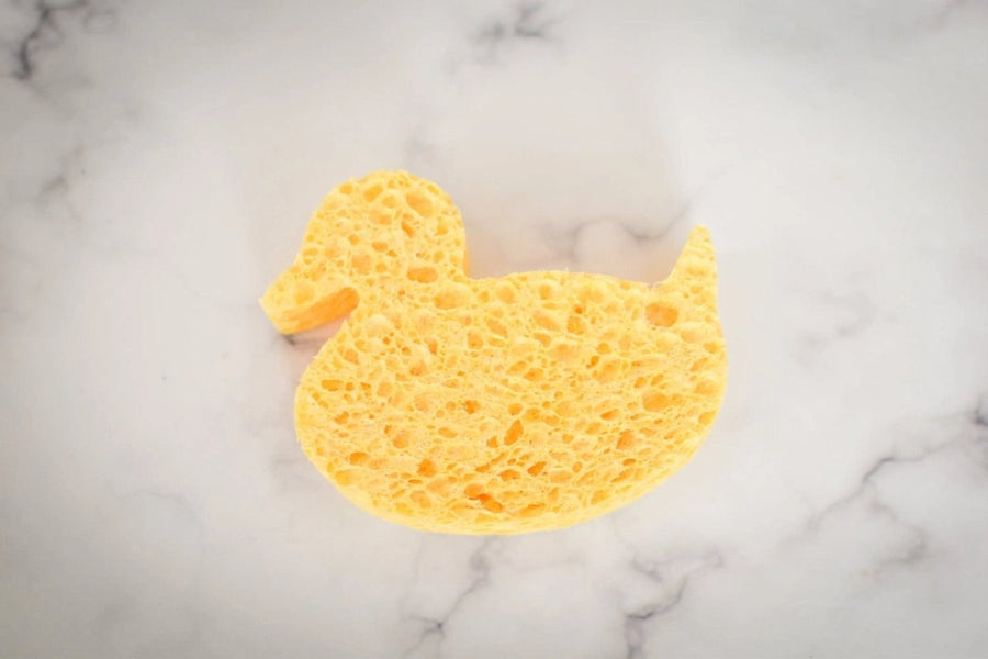 Duck Sponge