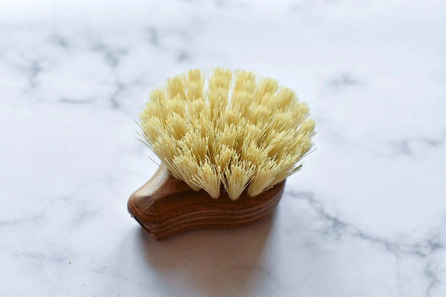 FSC® Wooden Dish Brush - Replacement Head