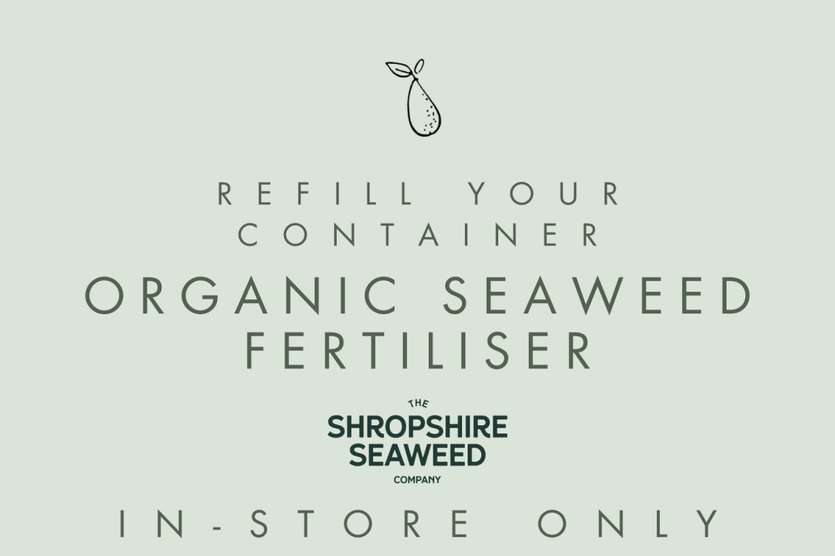 Refill Organic Seaweed Fertiliser