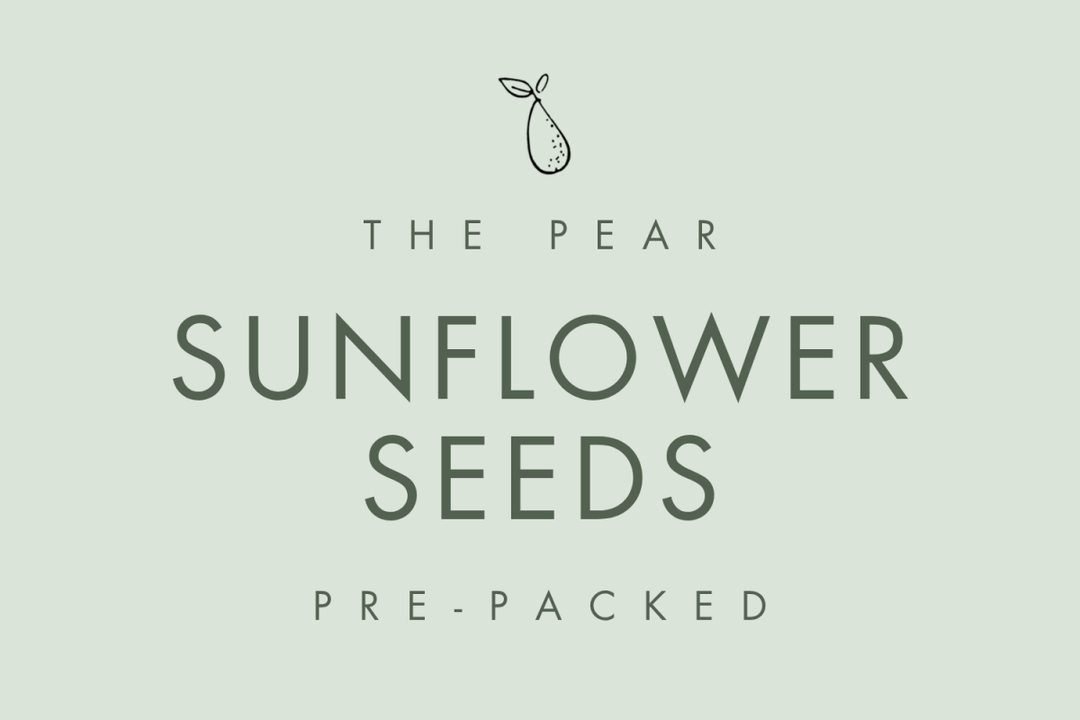 Sunflower Seeds - Local Delivery