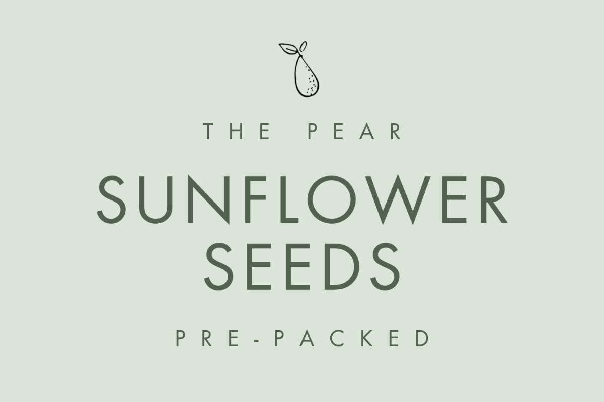 Sunflower Seeds - Local Delivery