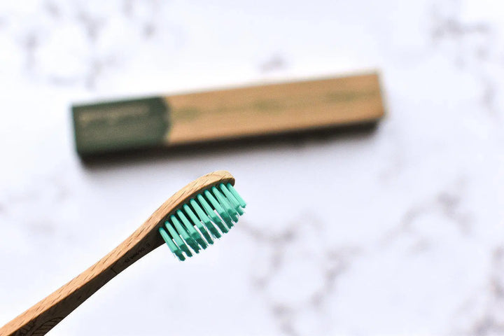 Plastic Free Beechwood Toothbrush-Green Pear Eco