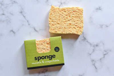 Plastic Free Compostable Sponge-Green Pear Eco