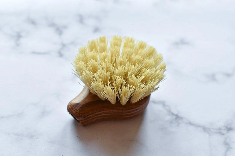 Plastic Free FSC® Wooden Dish Brush - Replacement Head-Green Pear Eco