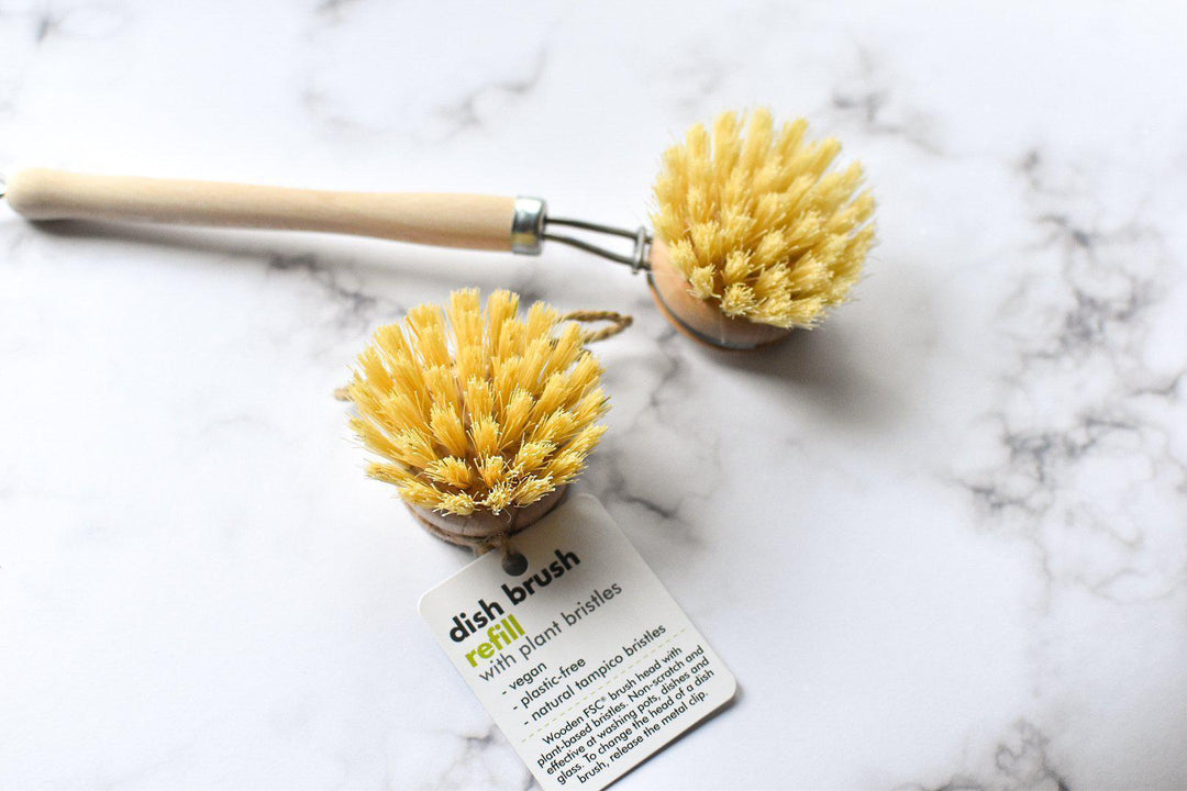 Plastic Free Replacement Dish Washing Brush Head-Green Pear Eco