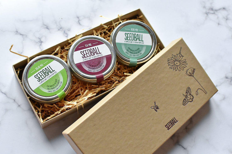 Plastic Free Seedball Gift Box-Green Pear Eco